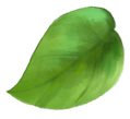 Leaf 5